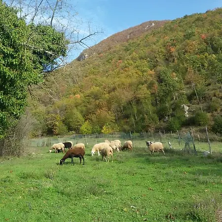 컨트리하우스 Agriturismo Castelfranco 노르시아